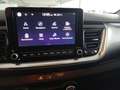 Kia Stonic 1.0 T-GDI OPF Mild Hybrid DCT7 Platinum Edition Grau - thumbnail 12