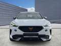 CUPRA Formentor VZ 4Drive 2.0 TSI Matrix Beats Pano Navi digitales Blanc - thumbnail 5