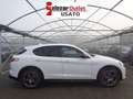 Alfa Romeo Stelvio 2.2 T.diesel 160CV AT8 RWD Veloce Bianco - thumbnail 3