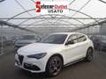 Alfa Romeo Stelvio 2.2 T.diesel 160CV AT8 RWD Veloce Bianco - thumbnail 1