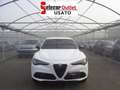 Alfa Romeo Stelvio 2.2 T.diesel 160CV AT8 RWD Veloce Bianco - thumbnail 2