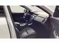 Jaguar E-Pace 2.0D I4 R-Dynamic S AWD Aut. 180 Weiß - thumbnail 3