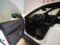 Maserati Levante S Q4 Modena-Facelift-Panorama-U-frei- Weiß - thumbnail 16