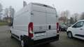 Opel Movano C Cargo Edition 2.2  L2H2 NEUES MODELL Bianco - thumbnail 7