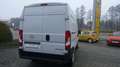 Opel Movano C Cargo Edition 2.2  L2H2 NEUES MODELL Bianco - thumbnail 12