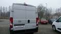 Opel Movano C Cargo Edition 2.2  L2H2 NEUES MODELL Bianco - thumbnail 8