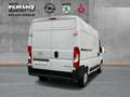 Opel Movano C Cargo Edition 2.2  L2H2 NEUES MODELL Weiß - thumbnail 2
