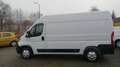 Opel Movano C Cargo Edition 2.2  L2H2 NEUES MODELL Bianco - thumbnail 6