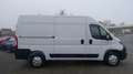Opel Movano C Cargo Edition 2.2  L2H2 NEUES MODELL Weiß - thumbnail 13