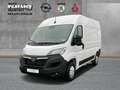 Opel Movano C Cargo Edition 2.2  L2H2 NEUES MODELL Weiß - thumbnail 1