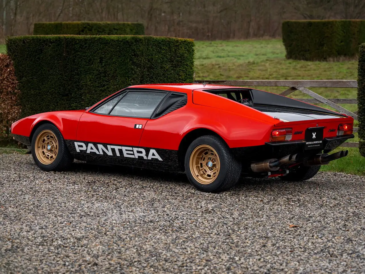 De Tomaso Pantera Factory Gr.3 / FIA / Full history / N°18 of 26, foto 4