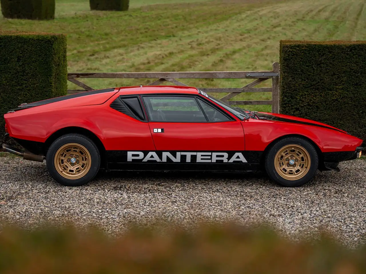 De Tomaso Pantera Factory Gr.3 / FIA / Full history / N°18 of 26, foto 6