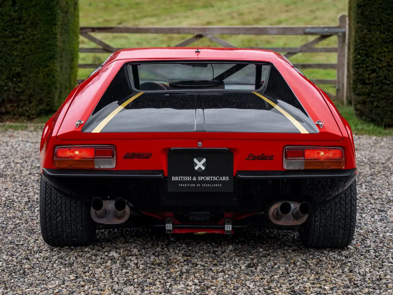 De Tomaso Pantera Factory Gr.3 / FIA / Full history / N°18 of 26, foto 5