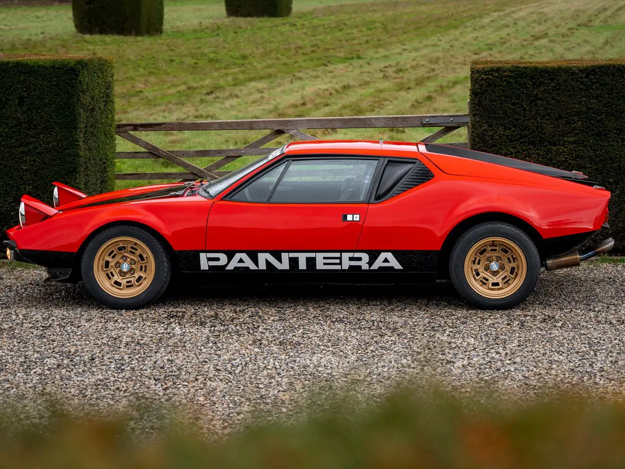 De Tomaso Pantera Factory Gr.3 / FIA / Full history / N°18 of 26, foto 3