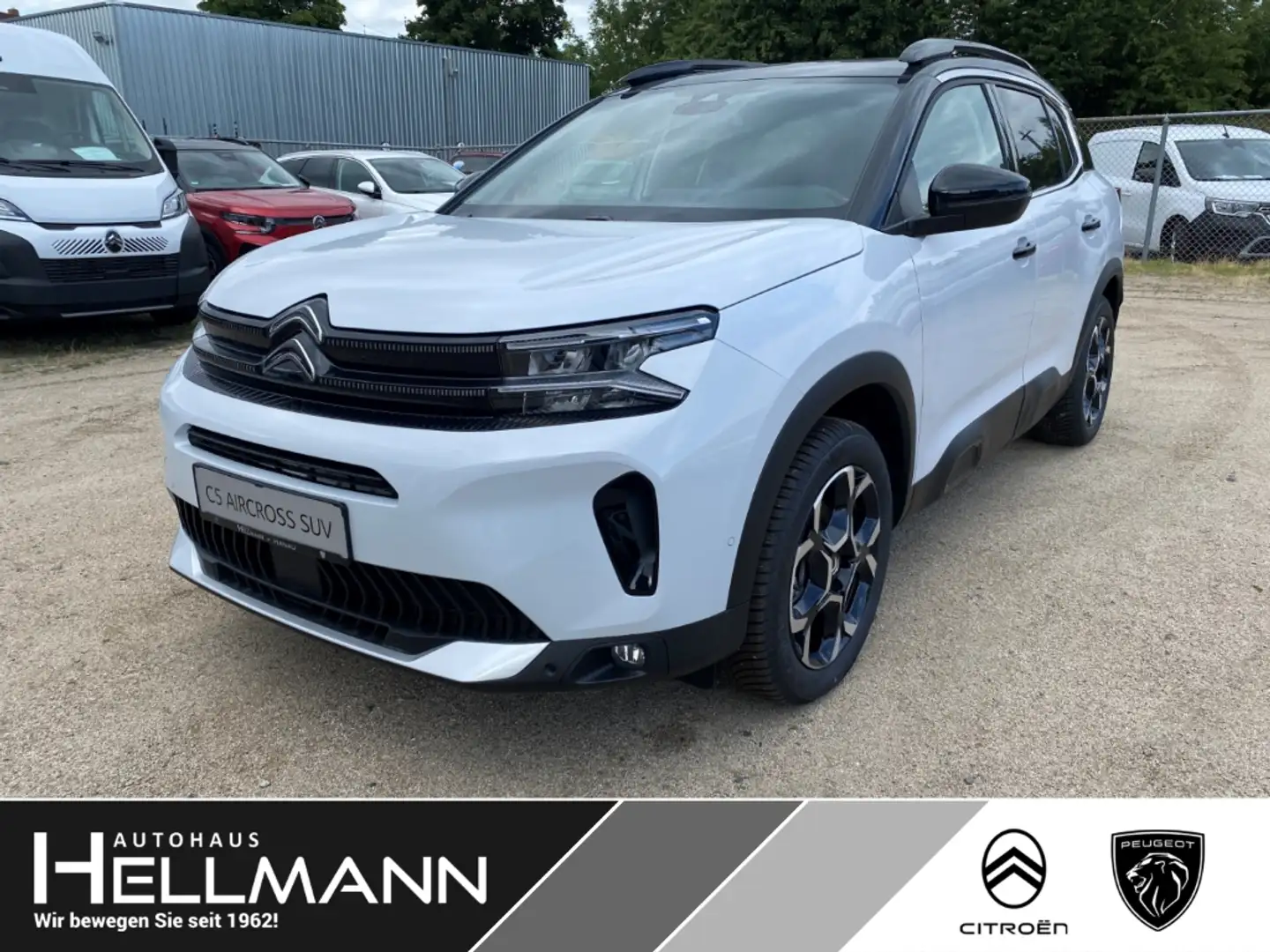 Citroen C5 Aircross Max 1.2 Mild-Hybrid 145 e-DSC6 *Sofort Lieferbar* Weiß - 1