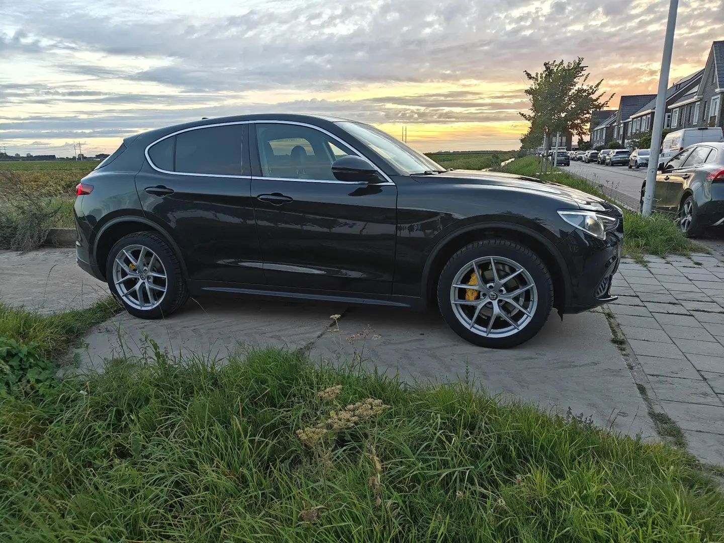 Alfa Romeo Stelvio 2.0 T AWD F.E. Noir - 2
