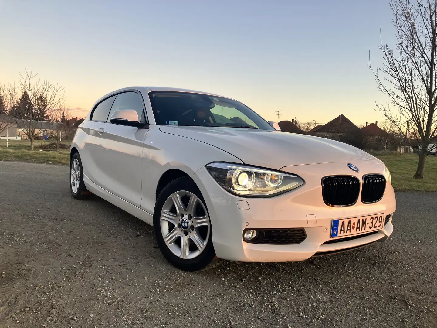 BMW 116 116d - 1
