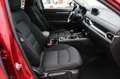 Mazda CX-5 2.2L Skyactiv-D 150 CV 2WD Evolve Rouge - thumbnail 13