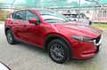 Mazda CX-5 2.2L Skyactiv-D 150 CV 2WD Evolve Rosso - thumbnail 4