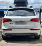 Audi SQ5 3.0 TDI quattro Weiß - thumbnail 5