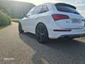 Audi SQ5 3.0 TDI quattro Weiß - thumbnail 4
