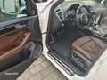 Audi SQ5 3.0 TDI quattro Weiß - thumbnail 8