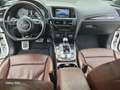 Audi SQ5 3.0 TDI quattro Weiß - thumbnail 12