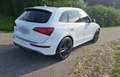 Audi SQ5 3.0 TDI quattro Weiß - thumbnail 6
