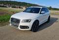 Audi SQ5 3.0 TDI quattro Weiß - thumbnail 3