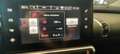 Citroen C4 Cactus Todoterreno Manual de 5 Puertas Rojo - thumbnail 13