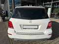 Mercedes-Benz GLK 200 CDI Sport/Navi/Leder/SHZ/1.Hand Blanc - thumbnail 6