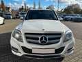 Mercedes-Benz GLK 200 CDI Sport/Navi/Leder/SHZ/1.Hand Blanc - thumbnail 5