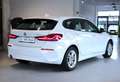 BMW 116 d (F40) Aut. *LED*Temp*SHZ*Navi*AppleCP Weiß - thumbnail 6