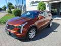 Cadillac XT4 2.0 Turbo Luxury LED+Navi+Sitzheizung Orange - thumbnail 2