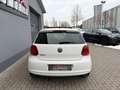 Volkswagen Polo V Life Plus*Bi-Xenon*Panorama*Einparkhilfe* Weiß - thumbnail 4