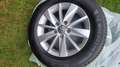 Volkswagen Golf Variant Rabbit 1,6 TDI SCR Grau - thumbnail 19