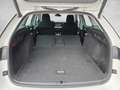 Skoda Octavia Octaiva Kombi 2,0 TDI Style DSG*AHV*LED+NAV Weiß - thumbnail 13