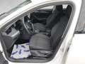 Skoda Octavia Octaiva Kombi 2,0 TDI Style DSG*AHV*LED+NAV Weiß - thumbnail 9