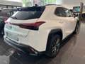 Lexus UX 250h F-Sport Design Weiß - thumbnail 3