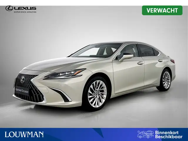 Lexus ES 300 300h President Line | Mark Levinson | 360 Camera |