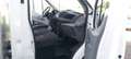 Ford Transit Ford Transit CCb P350 L4 2.0EcoBlue 130cv Trend Wit - thumbnail 4