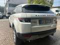 Land Rover Range Rover Evoque Range Rover Evoque I 2011 5p 2.2 td4 Dynamic 150cv Bianco - thumbnail 5