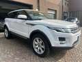 Land Rover Range Rover Evoque Range Rover Evoque I 2011 5p 2.2 td4 Dynamic 150cv Blanc - thumbnail 2