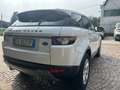 Land Rover Range Rover Evoque Range Rover Evoque I 2011 5p 2.2 td4 Dynamic 150cv Bianco - thumbnail 3