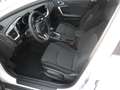 Kia XCeed 1,0 TGDI GPF Silber Weiß - thumbnail 9