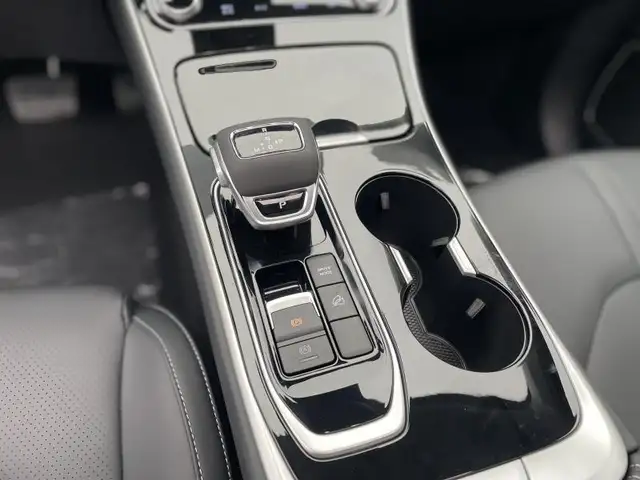 Forthing T5 Evo view 11