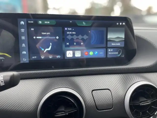 Forthing T5 Evo view 9