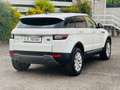 Land Rover Range Rover Evoque Evoque 2.0 td4 Pure Premium aut 150cv 4wd sport Blanco - thumbnail 5