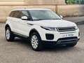 Land Rover Range Rover Evoque Evoque 2.0 td4 Pure Premium aut 150cv 4wd sport Blanco - thumbnail 7