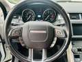 Land Rover Range Rover Evoque Evoque 2.0 td4 Pure Premium aut 150cv 4wd sport Blanco - thumbnail 11